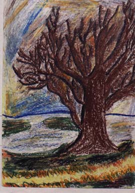Daniella's Drawing Titled : Old Tree