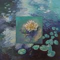 See Larger Image: Water Lily in the Blue